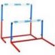 DIMASPORT SCHOOL HURDLE SET OF 3 OR 6