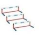 SCHOOL MINI-HURDLE SET OF 3 OR 6