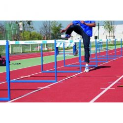SPECIAL EDUCATIONAL CLUB HURDLE SET OF 5
