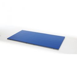 TATAMIS D’ENTRAINEMENT ART MARTIAUX 200 X 100 X 4 CM 