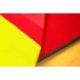 TAPIS + BACHE DE LUTTE/JUDO REVERSIBLE