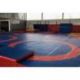 REVERSIBLE EDUCATIONAL WRESTLING MAT COVER 1 CIRCLE / 4 CIRCLES