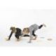 ANNEAUX D'ACTIVITE LOT DE 6 OU 24