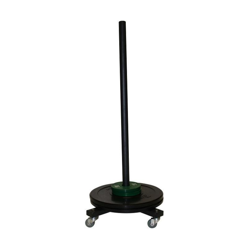 BUMPER PLATES STACKER ON WHEELS