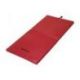 TAPIS DIMASPORT FITNESS REPLIABLE 100 X 50 X 3 CM